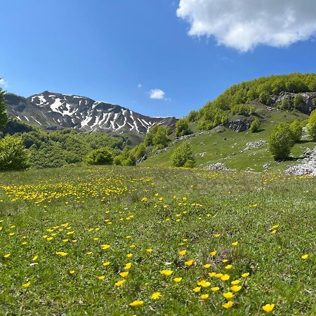 Guesthouse Alpini Lepushe 外观 照片