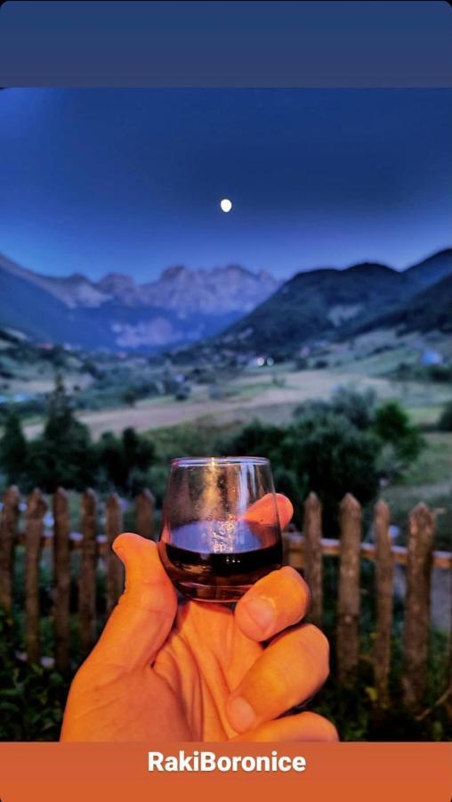 Guesthouse Alpini Lepushe 外观 照片