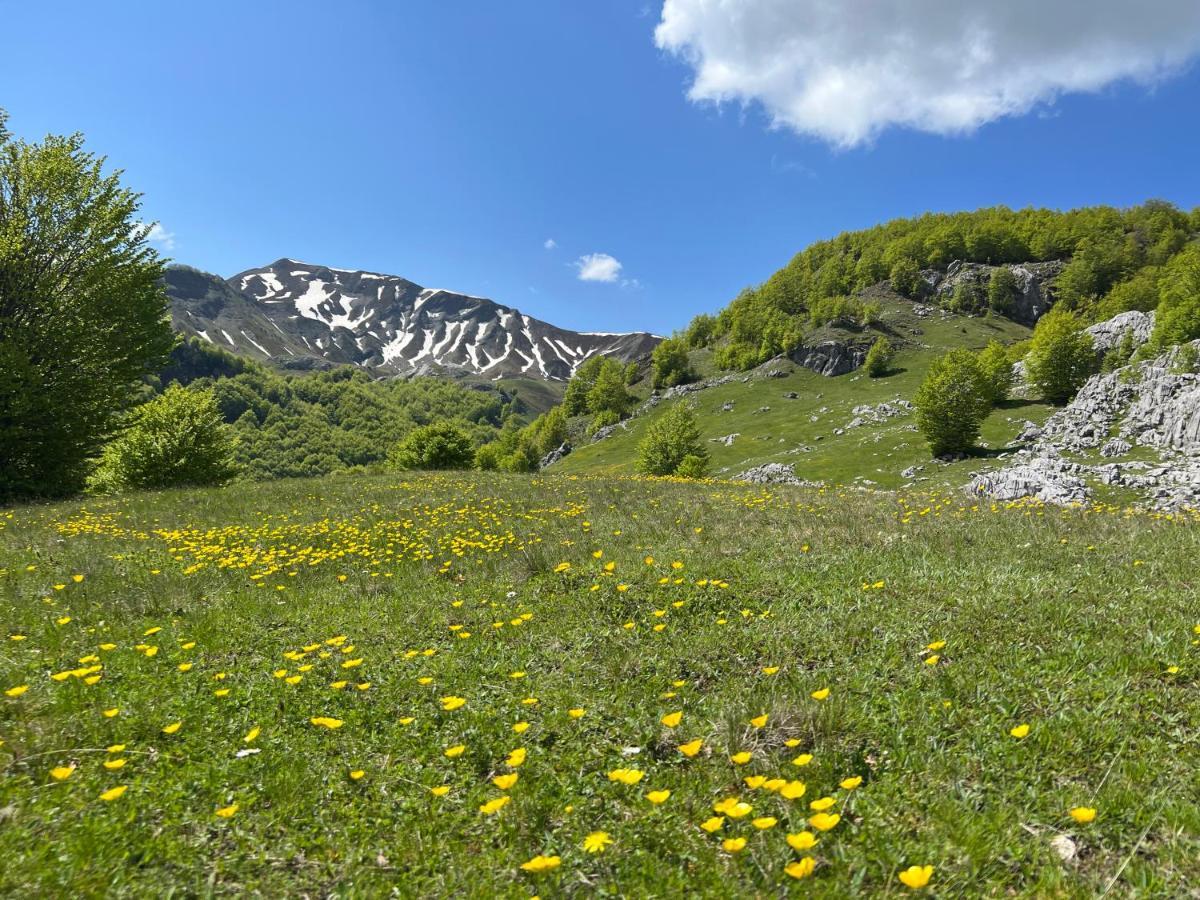 Guesthouse Alpini Lepushe 外观 照片