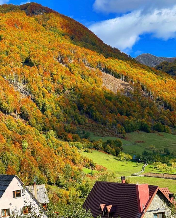 Guesthouse Alpini Lepushe 外观 照片