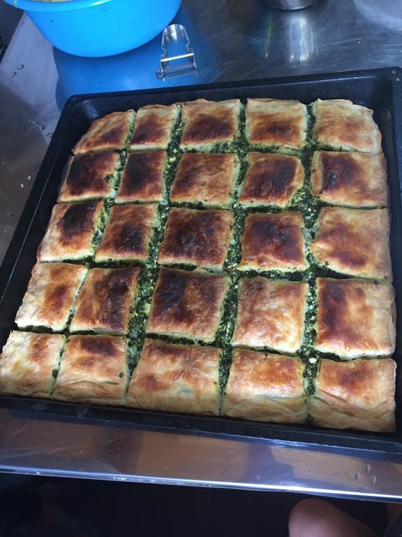 Guesthouse Alpini Lepushe 外观 照片
