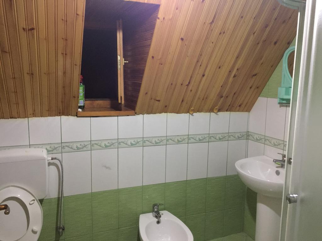 Guesthouse Alpini Lepushe 外观 照片